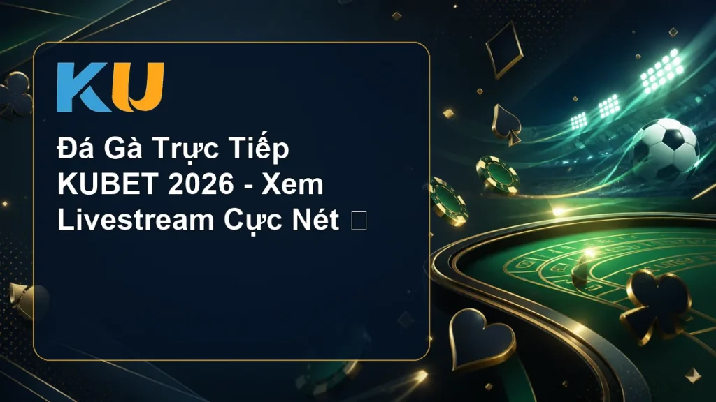 Đá Gà Trực Tiếp KUBET 2026 - Xem Livestream Cực Nét ⭐ - hình đại diện KU 70